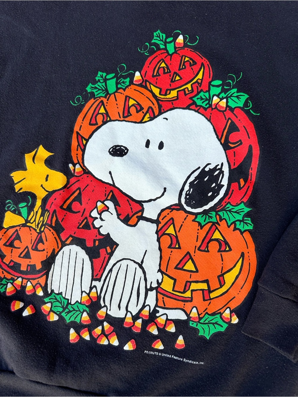 Vtg 90s Peanuts Snoopy & Woodstock Pumpkins Halloween Sweatshirt Sz L Holiday - Picture 1 of 9